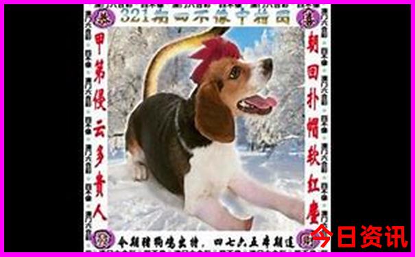 天津怎么玩二日游最好